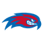 UMass Lowell River Hawks