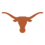 Texas Longhorns