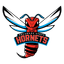 Delaware State Hornets