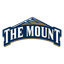 Mount St. Mary's Mountaineers